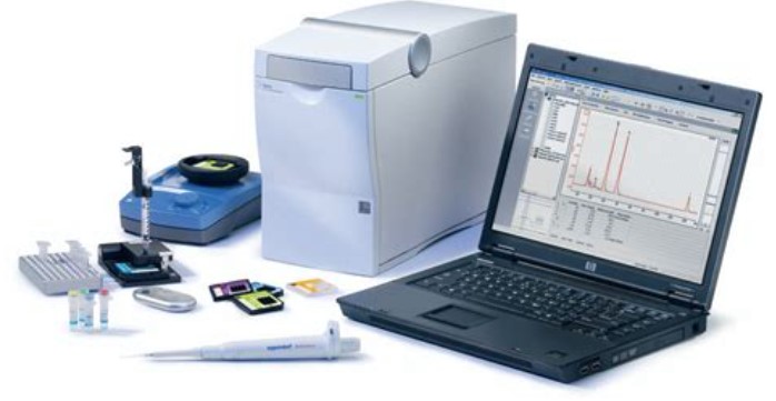 Bioanalyzer 2100