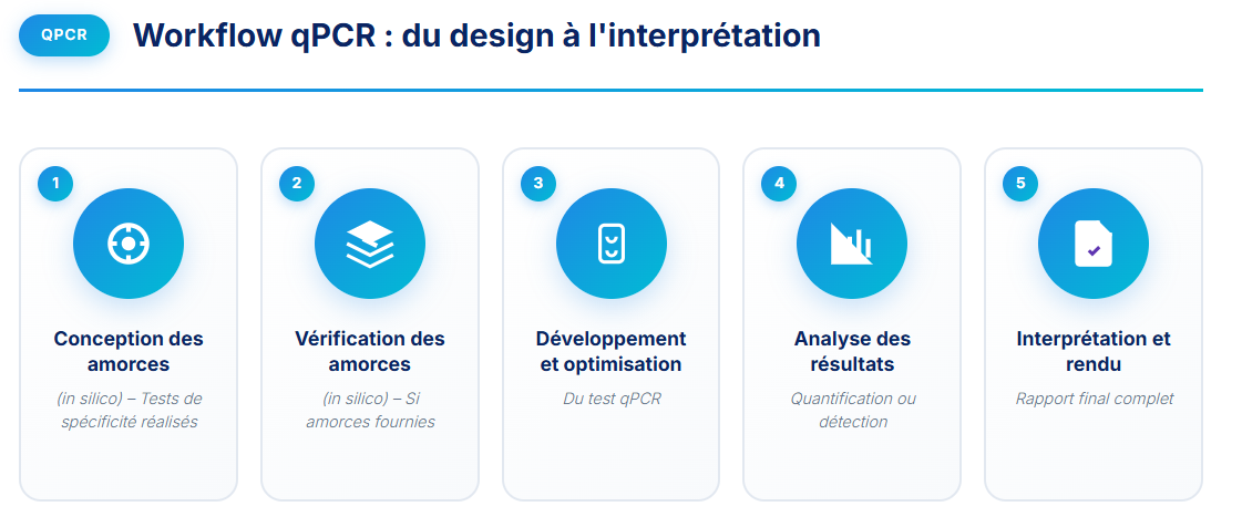 qPCR
